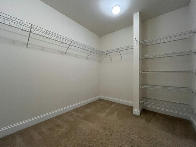 Building Photo - 11907 Carolina Blossom Ln