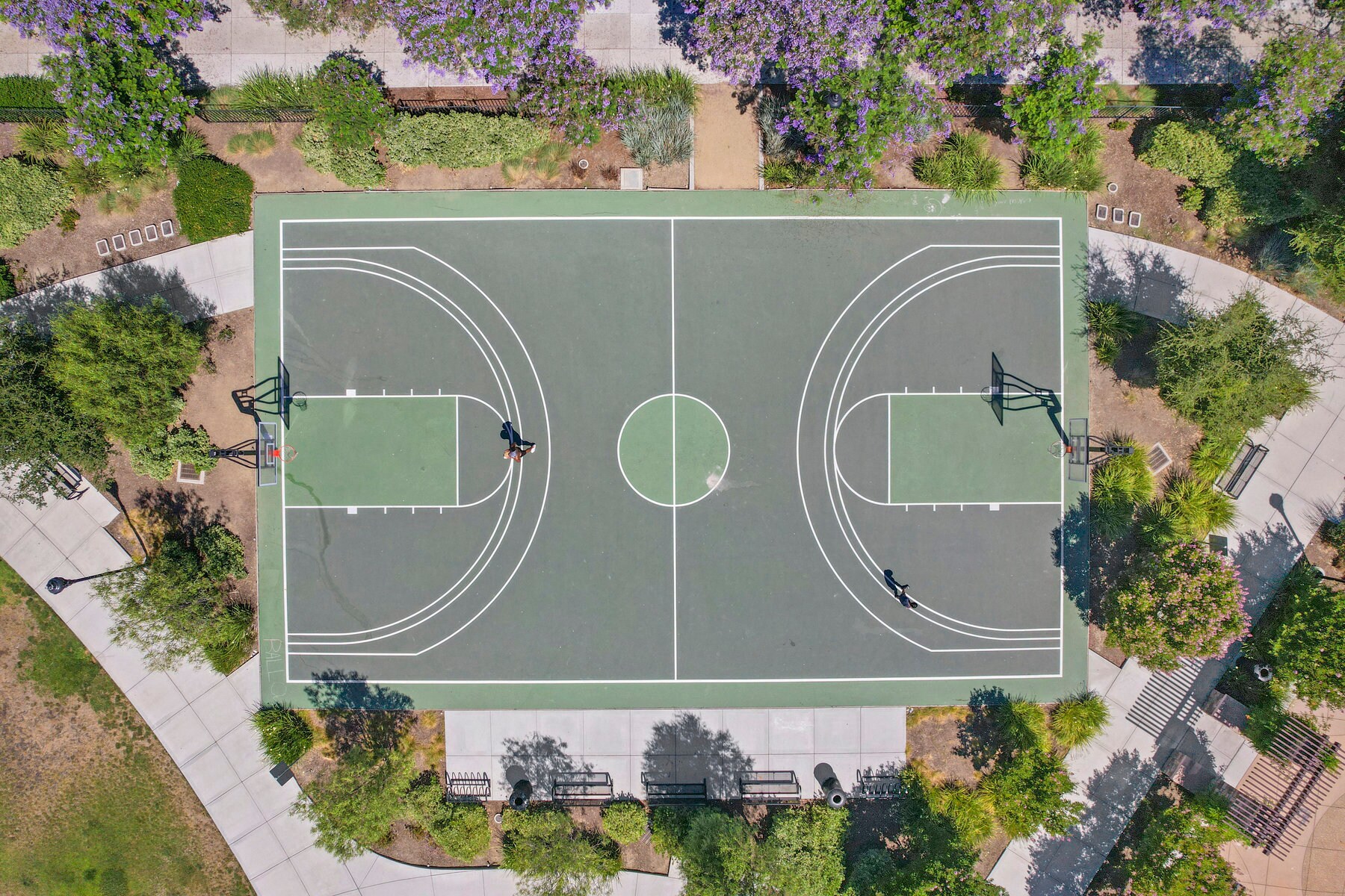 Building Photo - 2736 Cannara Ln