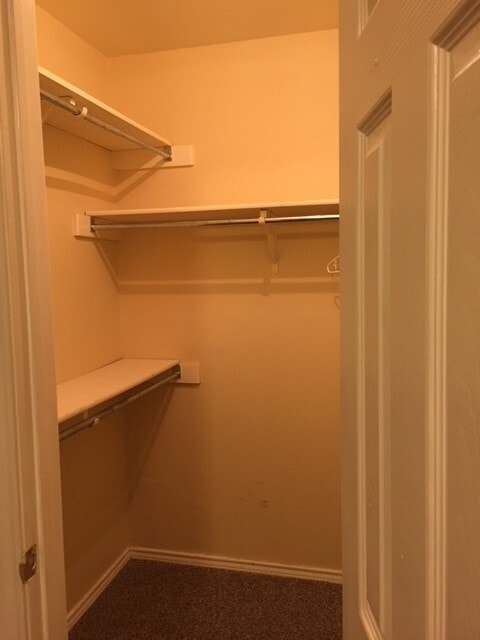 Building Photo - 3402 Warfield Dr