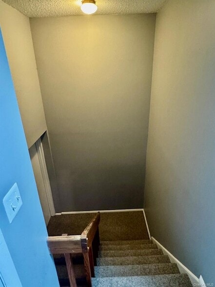 Building Photo - 3917 Whispering Hills Dr