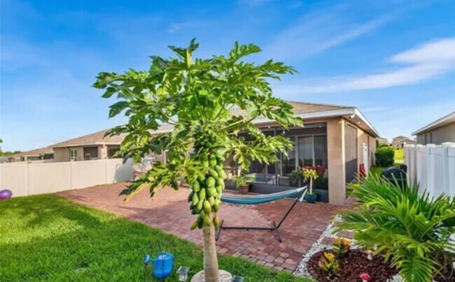Building Photo - Four bedroom Two bath - Winter Haven