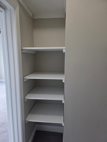 Walk-in closet deep shelving - 302 Lorch St