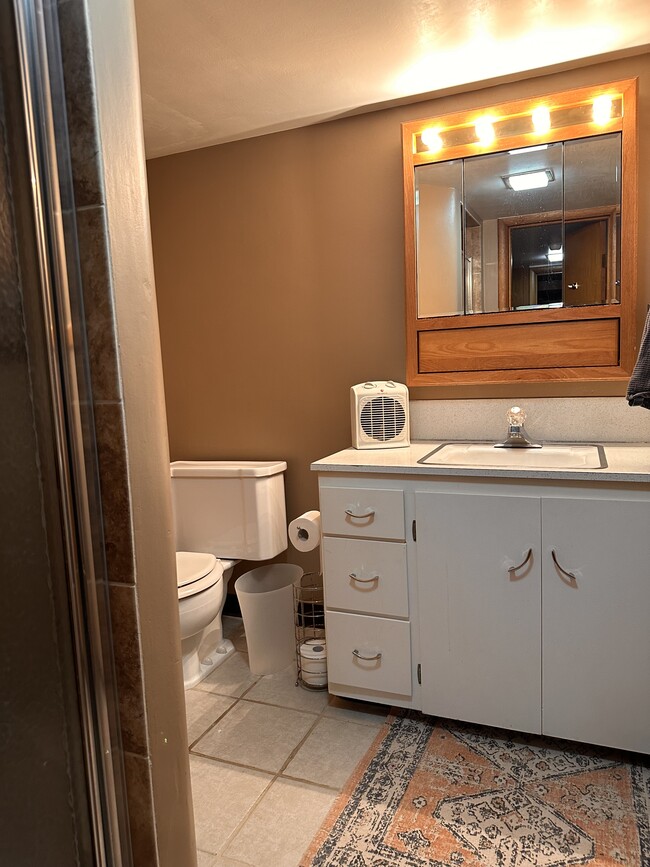 Basement bathroom - 1110 E Wayne Ave