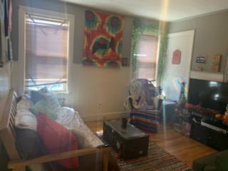 Living Room - 197 Standish Ave