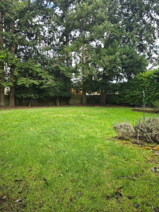 Building Photo - Beautiful 3 bedroom on large lot.