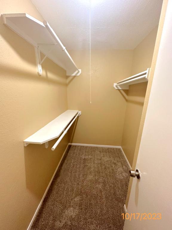 Building Photo - 12210 Roandale Dr