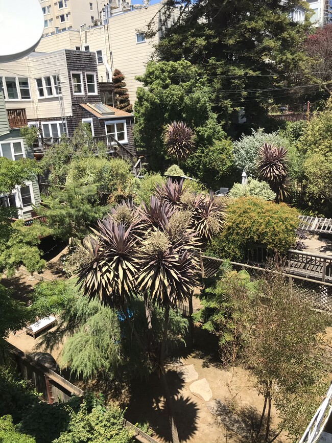 Garden Outlooks - 2538 Polk St