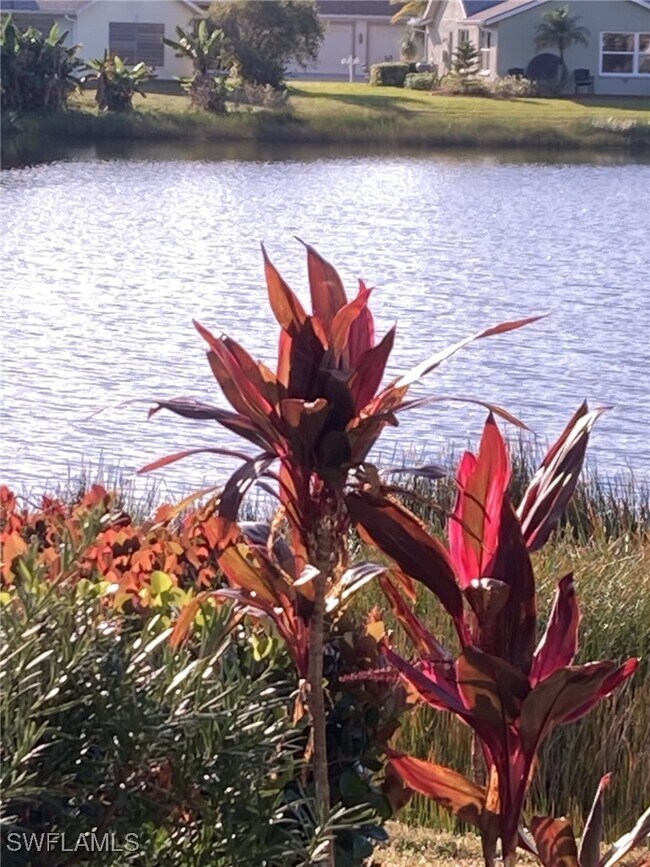 Building Photo - 3685 Stone Way