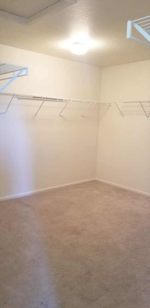 Building Photo - 3 Bedroom + Loft with Main Floor Office and 3 Car Garage!