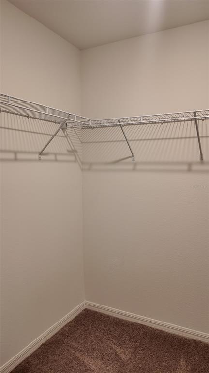 Building Photo - 2798 Raindrop Run St