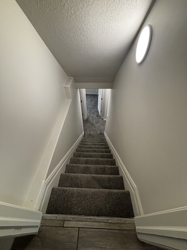 Building Photo - 4815 Levi Ln