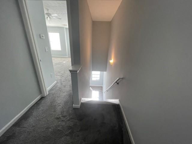 Building Photo - 0 Vining Ridge Terrace