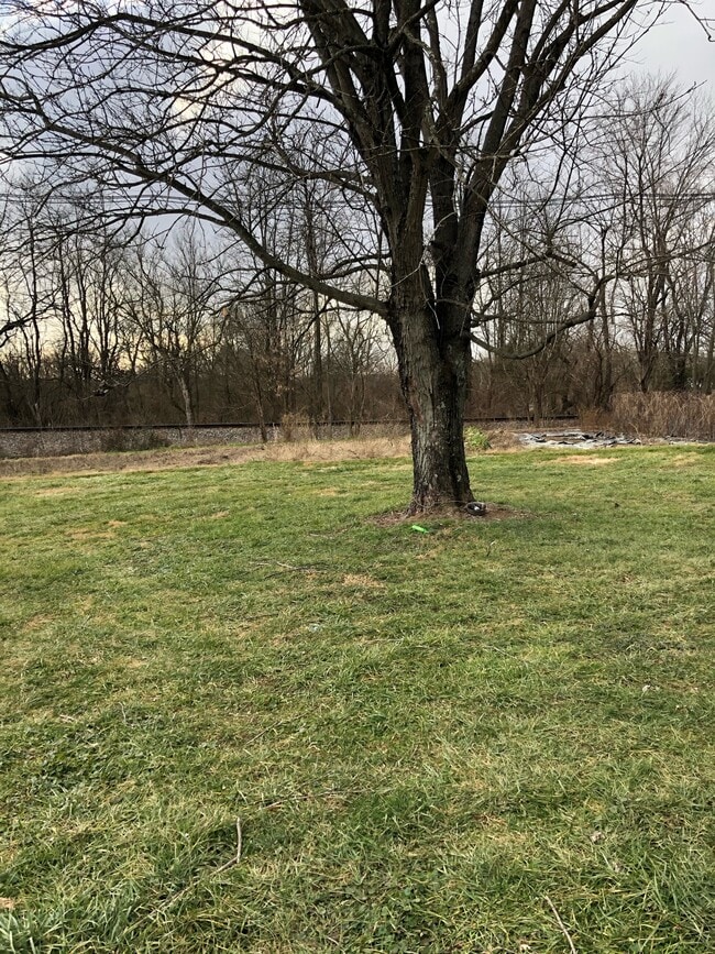 Building Photo - 123 Holly Ct