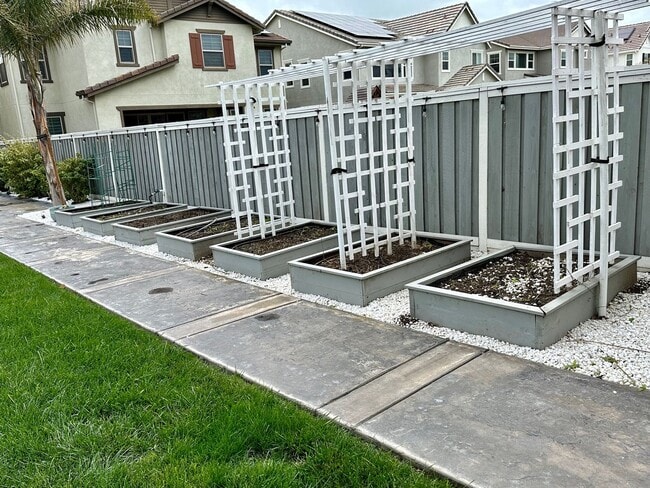 Building Photo - Beautiful home with large backyard in Mountain House