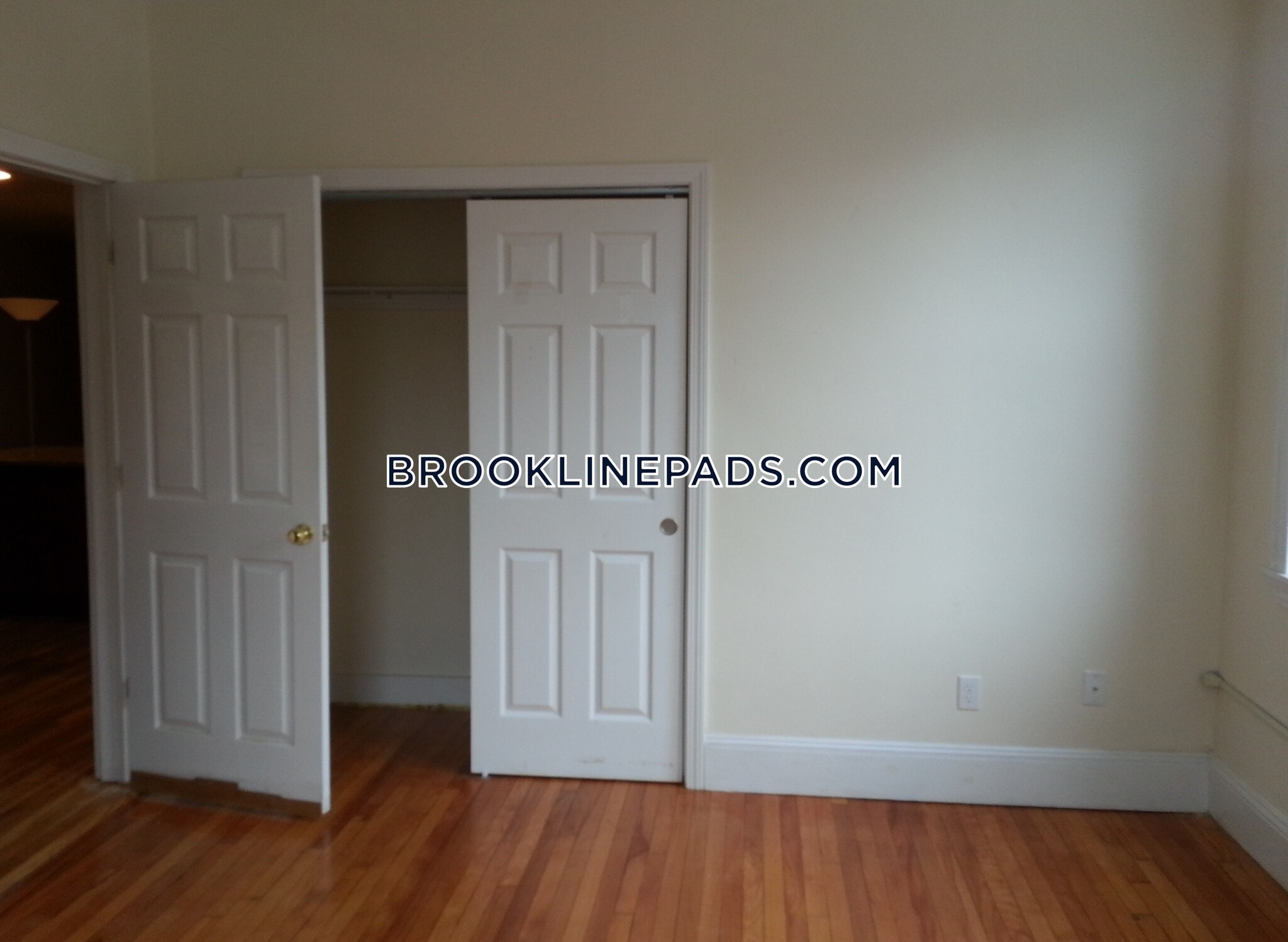 Building Photo - 62 Egmont St