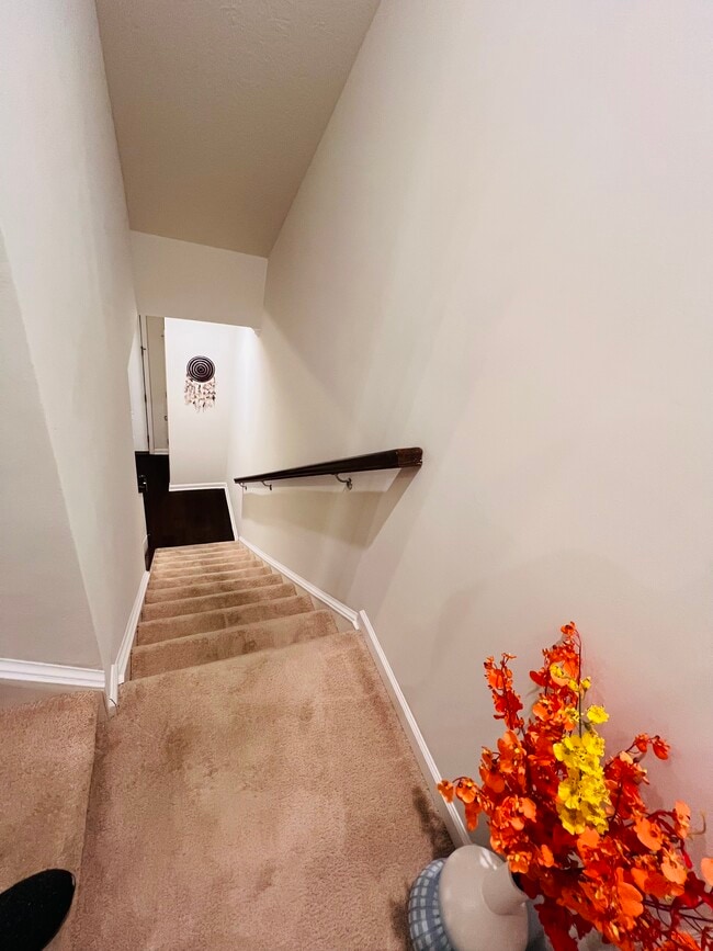 Building Photo - 3010 Mahican Cir