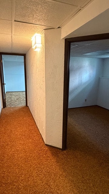 Finished basement, without staging - 1316 Raab Ave
