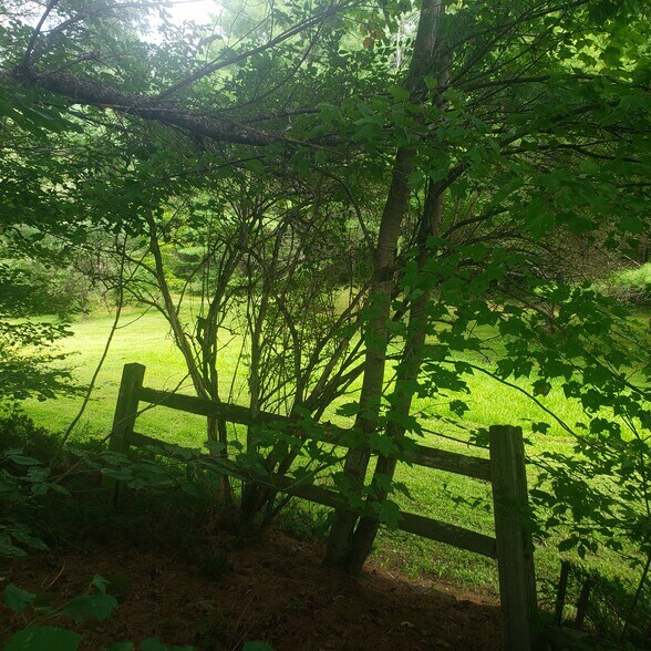 Building Photo - 162 Lancaster Rd