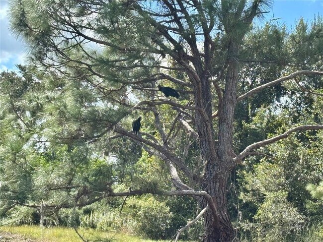 Building Photo - 1950 Bern Creek Loop