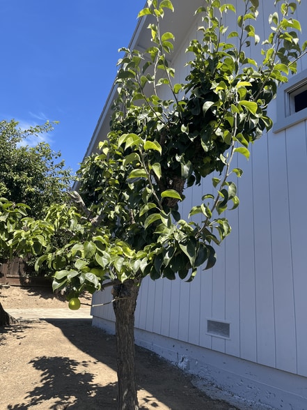 Building Photo - 4589 Malabar Ave