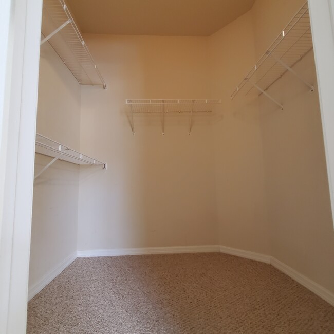 Spacious walk in closet in primary bedroom - 5808 Fishhawk Ridge Dr