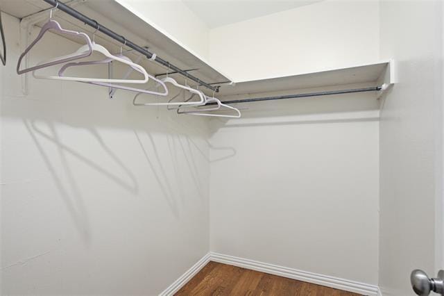 Building Photo - 3165 Darvany Dr