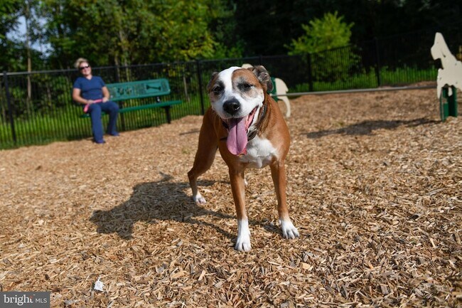 Building Photo - 22 Cadbury Dr