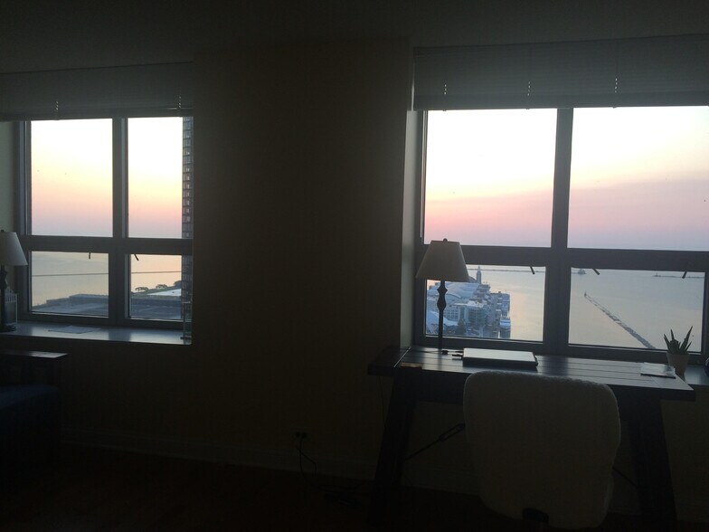 View from living space - 474 N Lake Shore Dr
