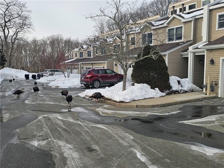 Building Photo - 37 Lawton Brook Ln