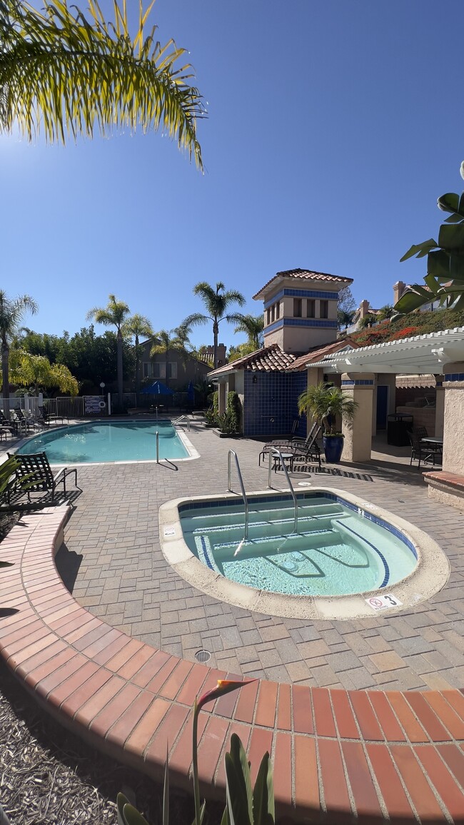 Pool - 29465 Christiana Way
