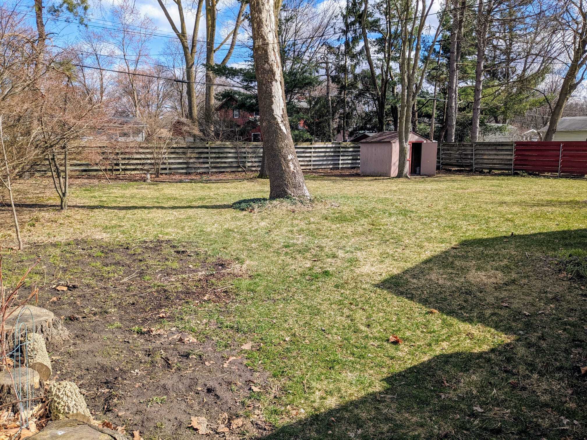 Backyard - 2904 Dina St