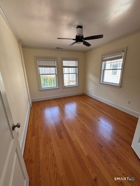 Building Photo - 88 Maple Tree Ave