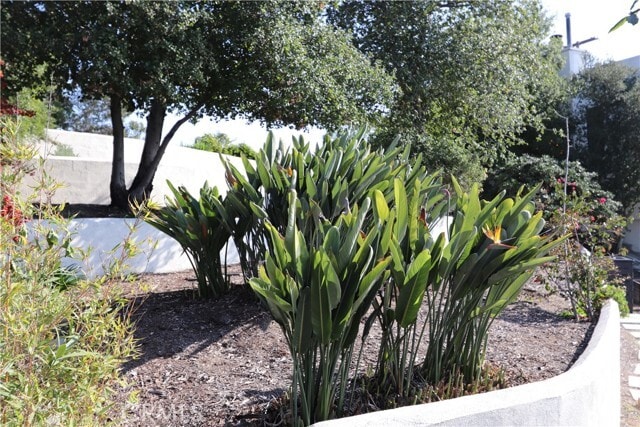 Building Photo - 703 Luton Dr