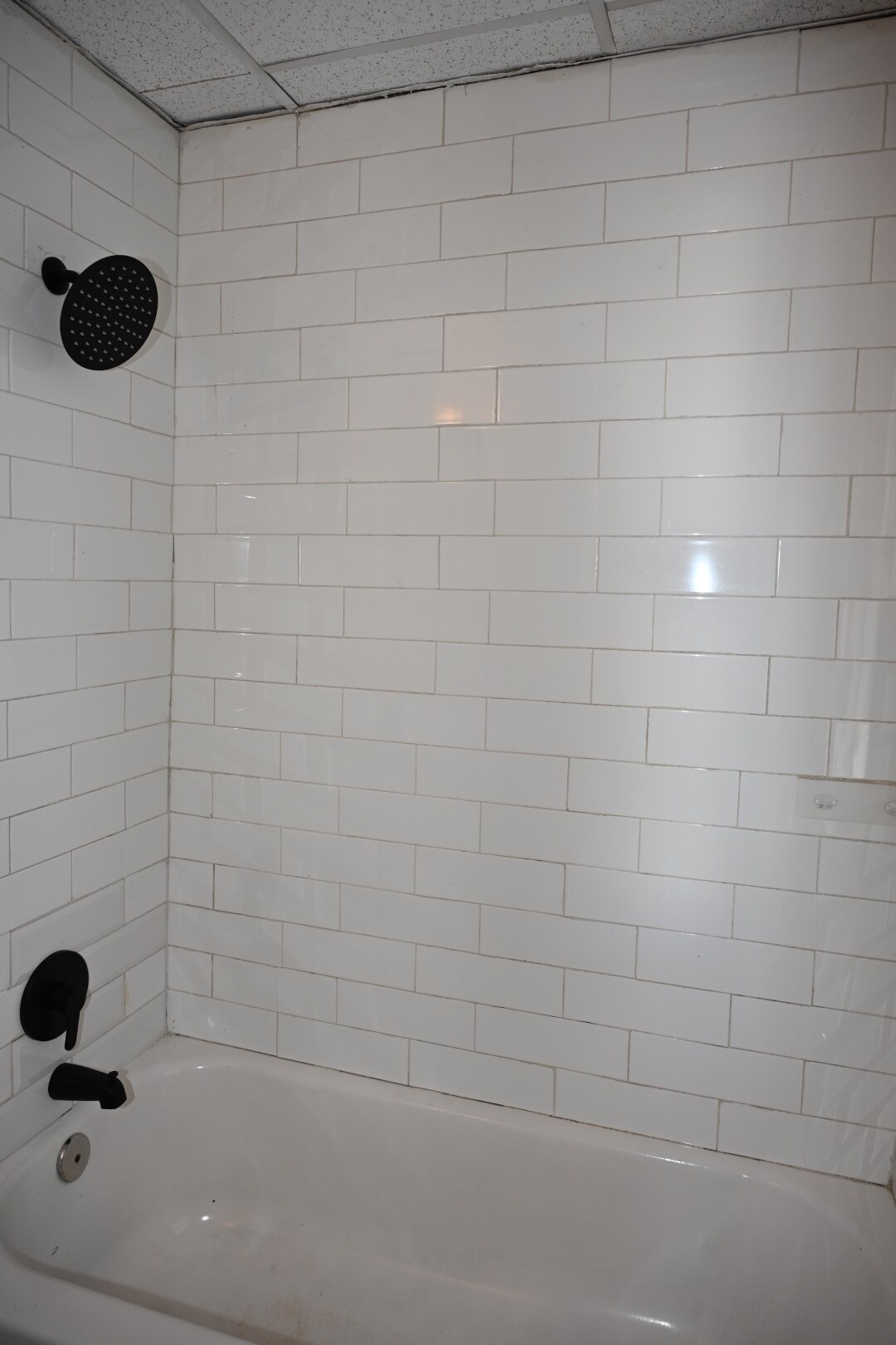 Building Photo - 203 Cooke St