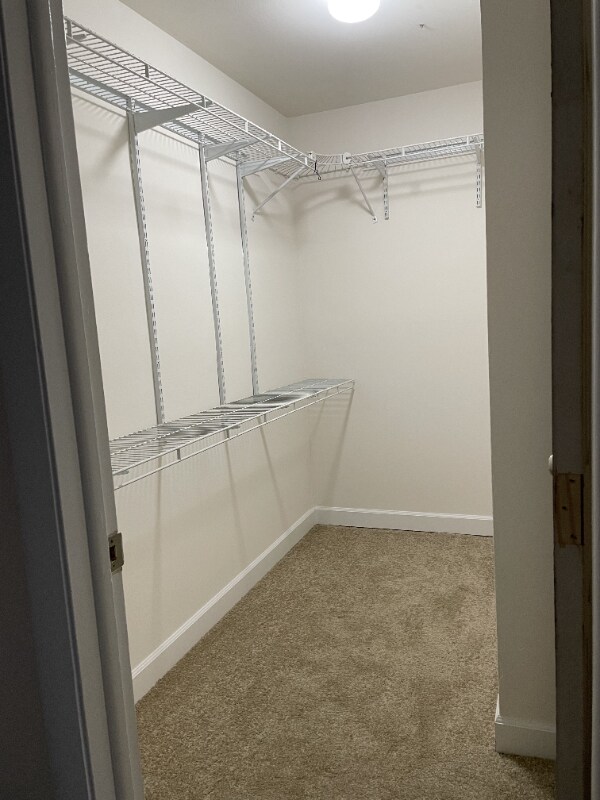 Building Photo - 543 Brookside Dr