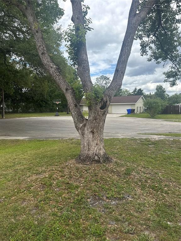 Building Photo - 2329 Pine Tree Ct