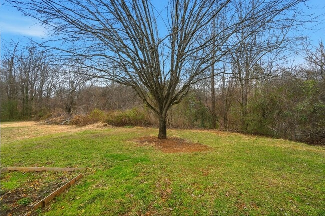 Building Photo - 3 bedroom single family home!