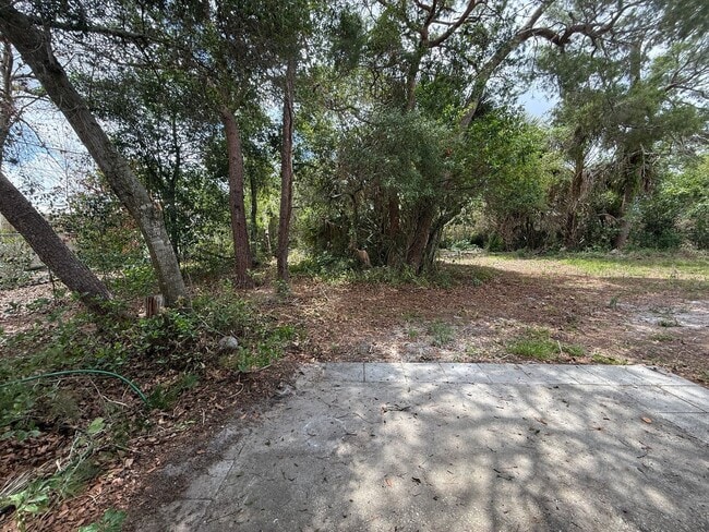 Building Photo - Newly Renovated Deltona Lakes Home!