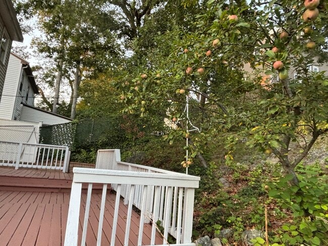 Building Photo - 118 Montclair Ave