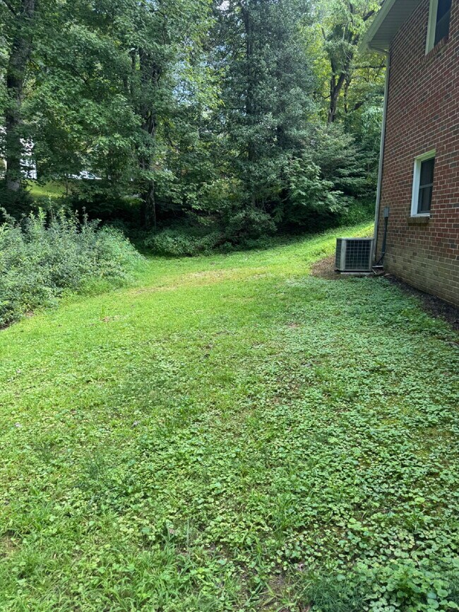 Building Photo - "Charming 3-Bedroom Retreat in Pisgah Fore...