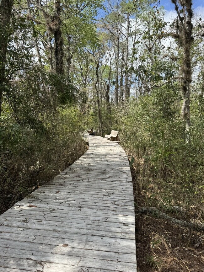 Building Photo - For Rent - Spring Move in Special ... 2nd Month's Rent FREE! (if sign a lease before the end of M...