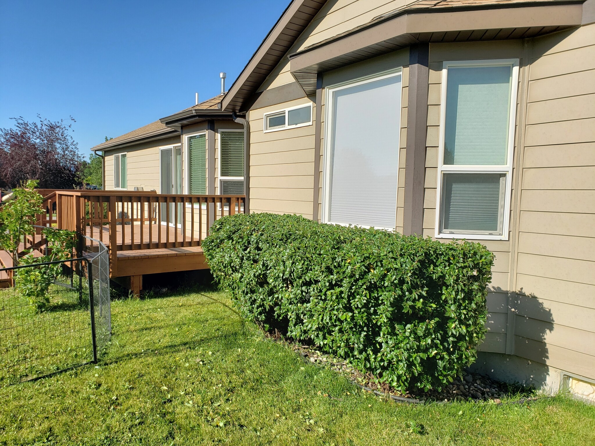 Back Deck - 119 Sanders Ave