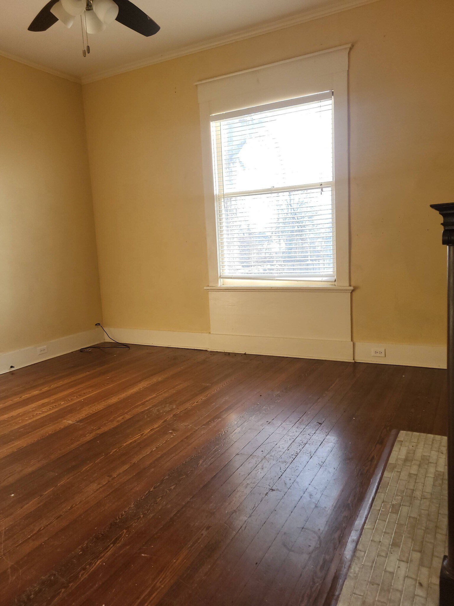 Building Photo - 37 S McLean Blvd