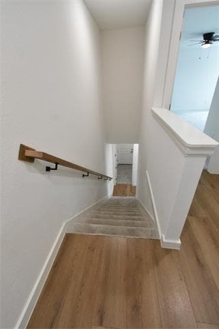 Building Photo - 9532 Thorncrown Ln