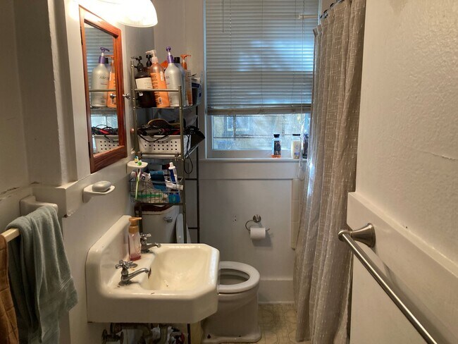 Building Photo - Beautiful, Large 3 Bedroom House Steps fro...