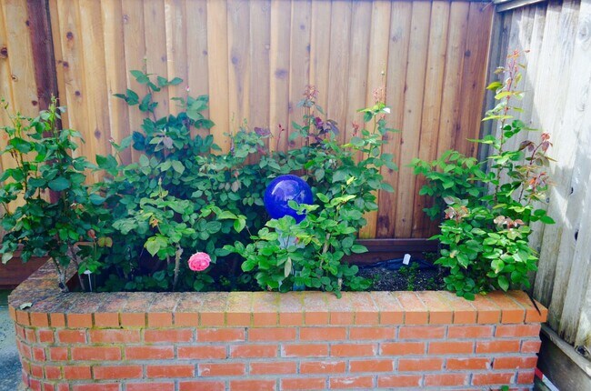 Building Photo - Large 6 BR|3 BA in the coveted Community Of Traditions Belhaven in Daly City With Views Of The Hills