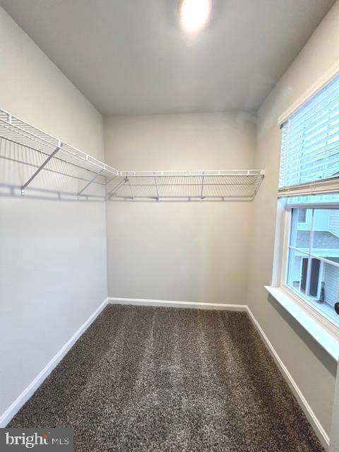 Building Photo - 141 Caterpillar Dr