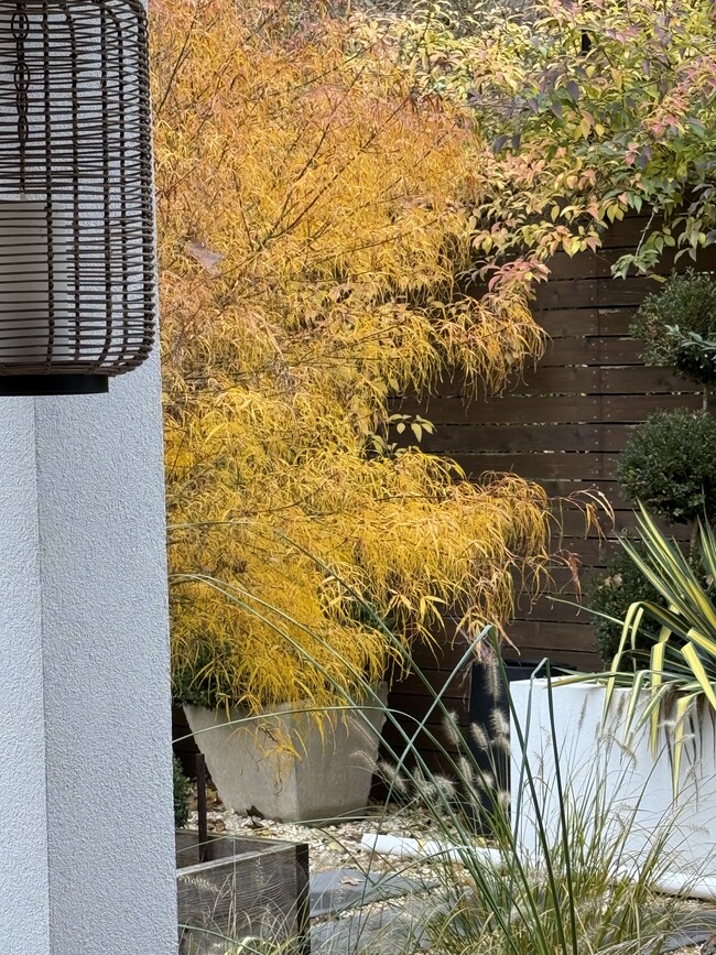 Building Photo - 204 Datura Dr