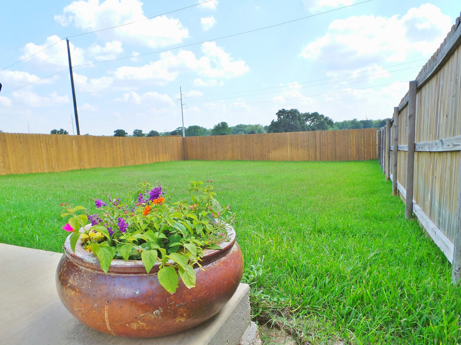 Building Photo - 1002 Venice Dr