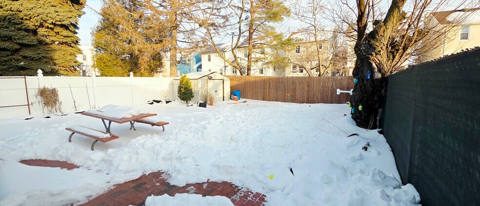 Backyard - 728 Golden Ave